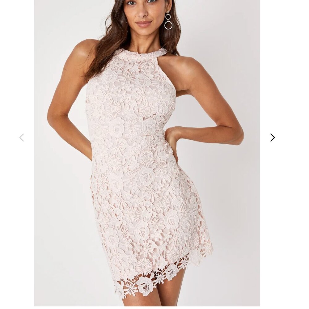 Lulu's Love Poem Blush Pink Lace Mini Dress - S
